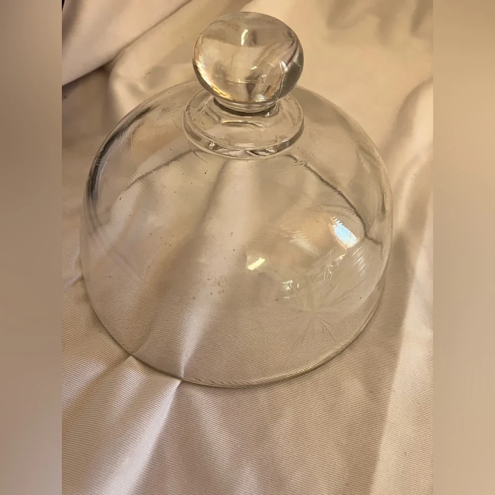 Elegant Glass Cheese Dome